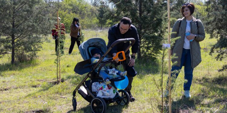 Алея на новия живот